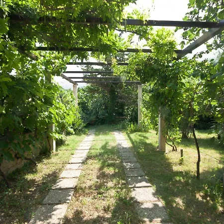 Sea Dream Kuca Za Odmor Apartment Baska (Krk)